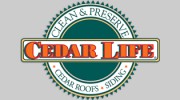 Cedar