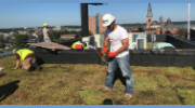 Maine Roofing