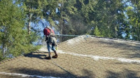Roof Moss Treatment
